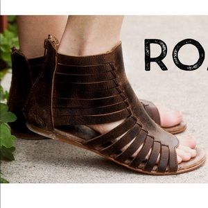Roan by Bed Stu Pearl Gladiators